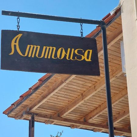 Ammousa Hotel Apartments Lixouri Exterior photo